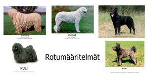 Rotum&auml;&auml;ritelm&auml;t