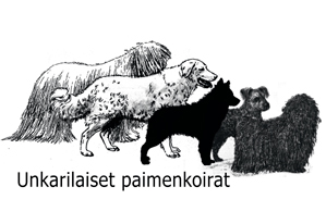 Unkarilaiset paimenkoirat